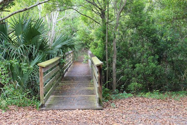 Al Lopez Park