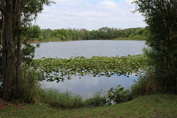 Al Lopez Park