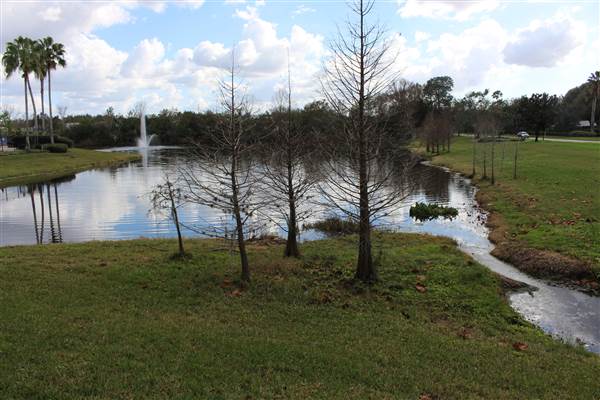 Compton Park