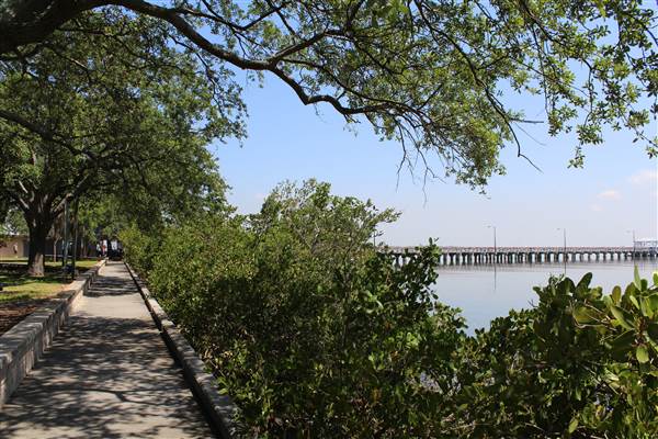 Ballast Point Park