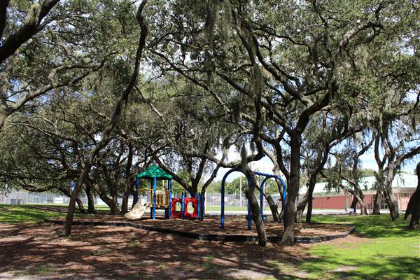 Roy Haynes Park