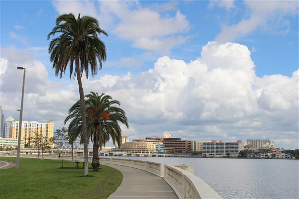Bayshore Boulevard